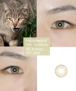 Hazelwood contact lenses wearing detail